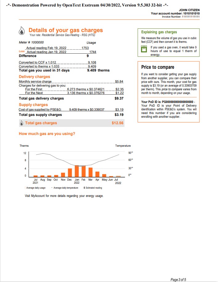 USA New York PSEG utility bill, Word and PDF template, 5 pages 3